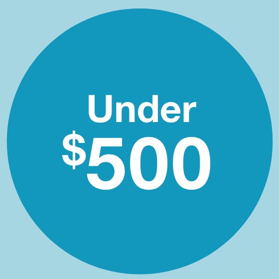 Gifts Under $500